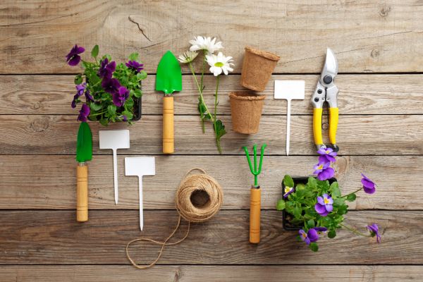 how to select flower pot